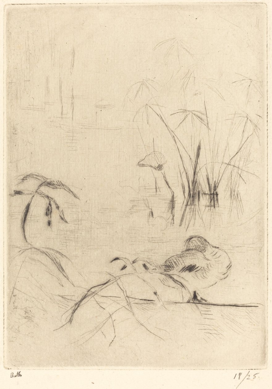 Bankada Dinlenen Ördekler, 18881890. by Berthe Morisot