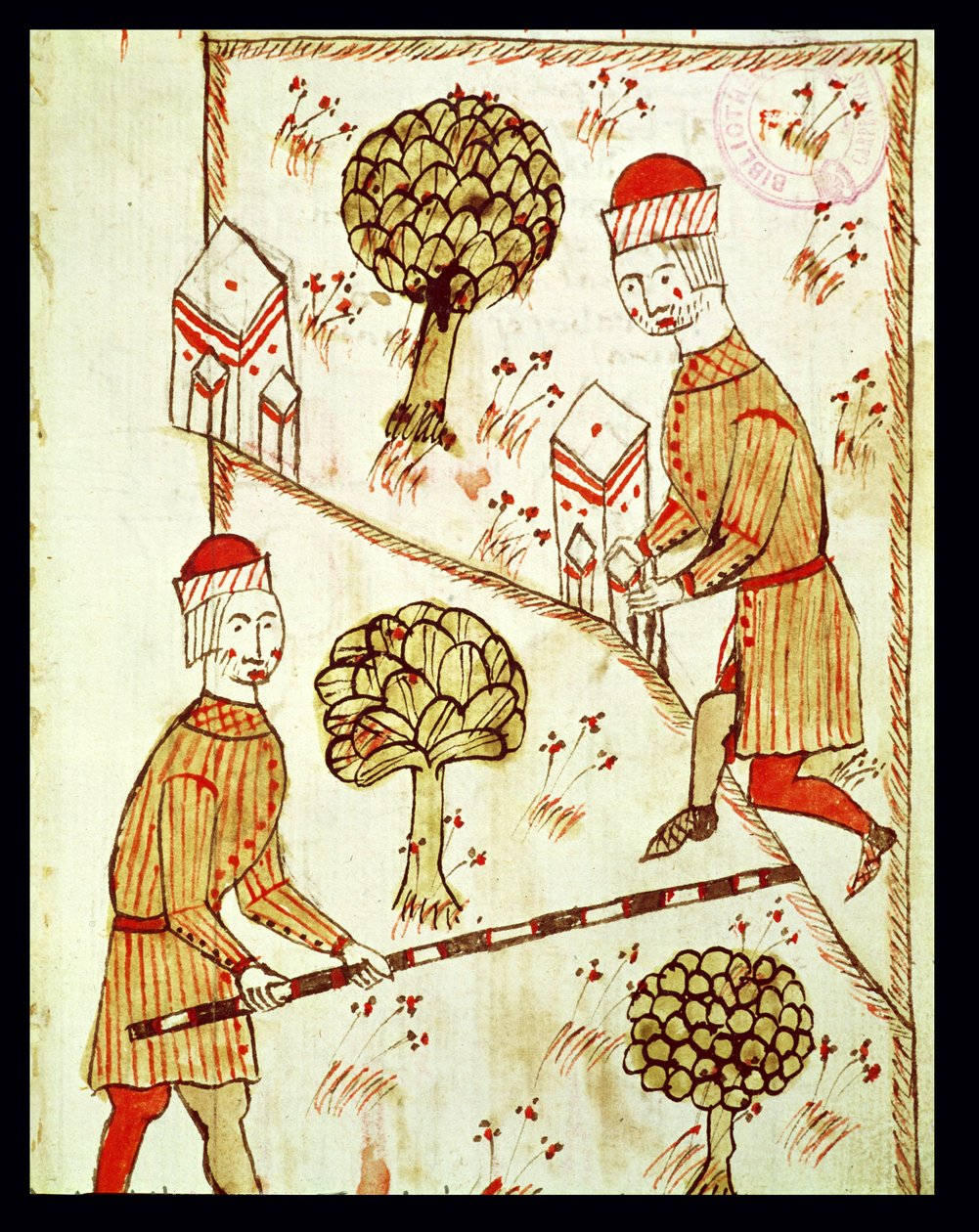 Ms 327 fol. 28r Arnaud de Villeneuve (1240-1312) tarafından yazılan 