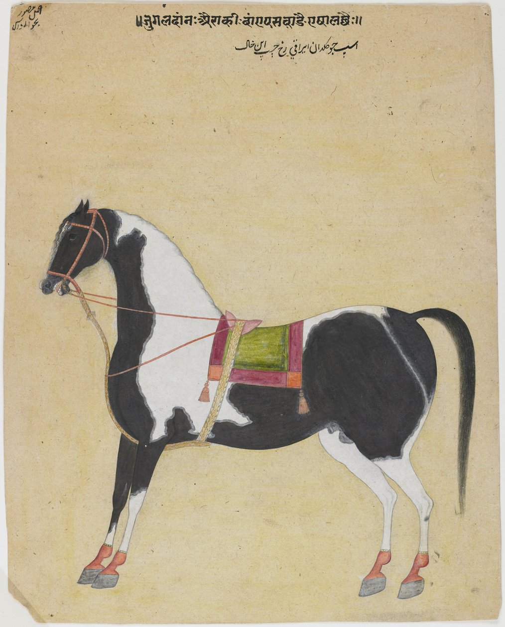 Aygır Jukaldan Ayragi, c.1730 (kağıt üzerinde opak klozet) by Bhavani Das