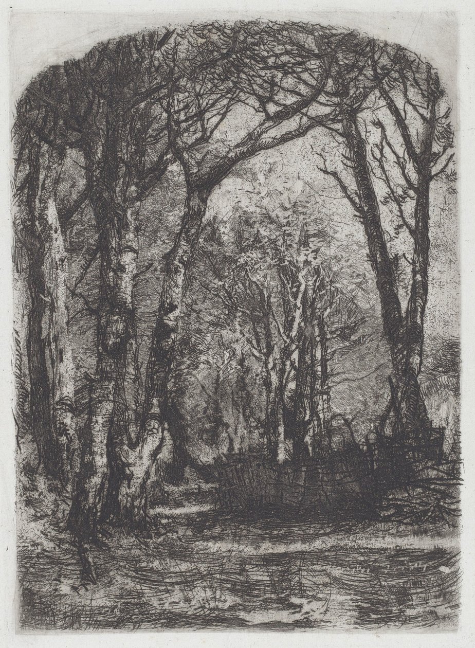 Woods [Bosco], c.1895. by Bianchi Mose