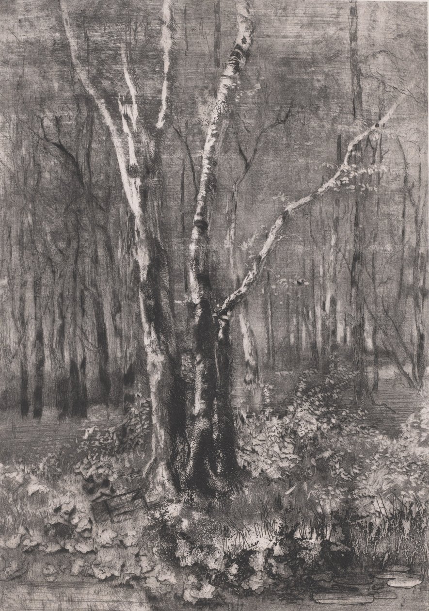 Monza yakınlarındaki Parkta Orman, 1895. by Bianchi Mose