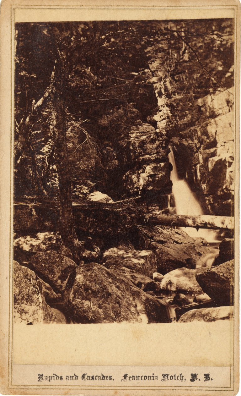 Rapids ve Cascades, Franconia Notch, New Hampshire by Bierstadt Brothers