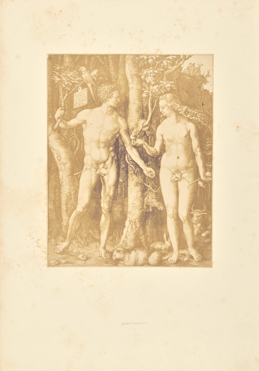  by Bisson Frères