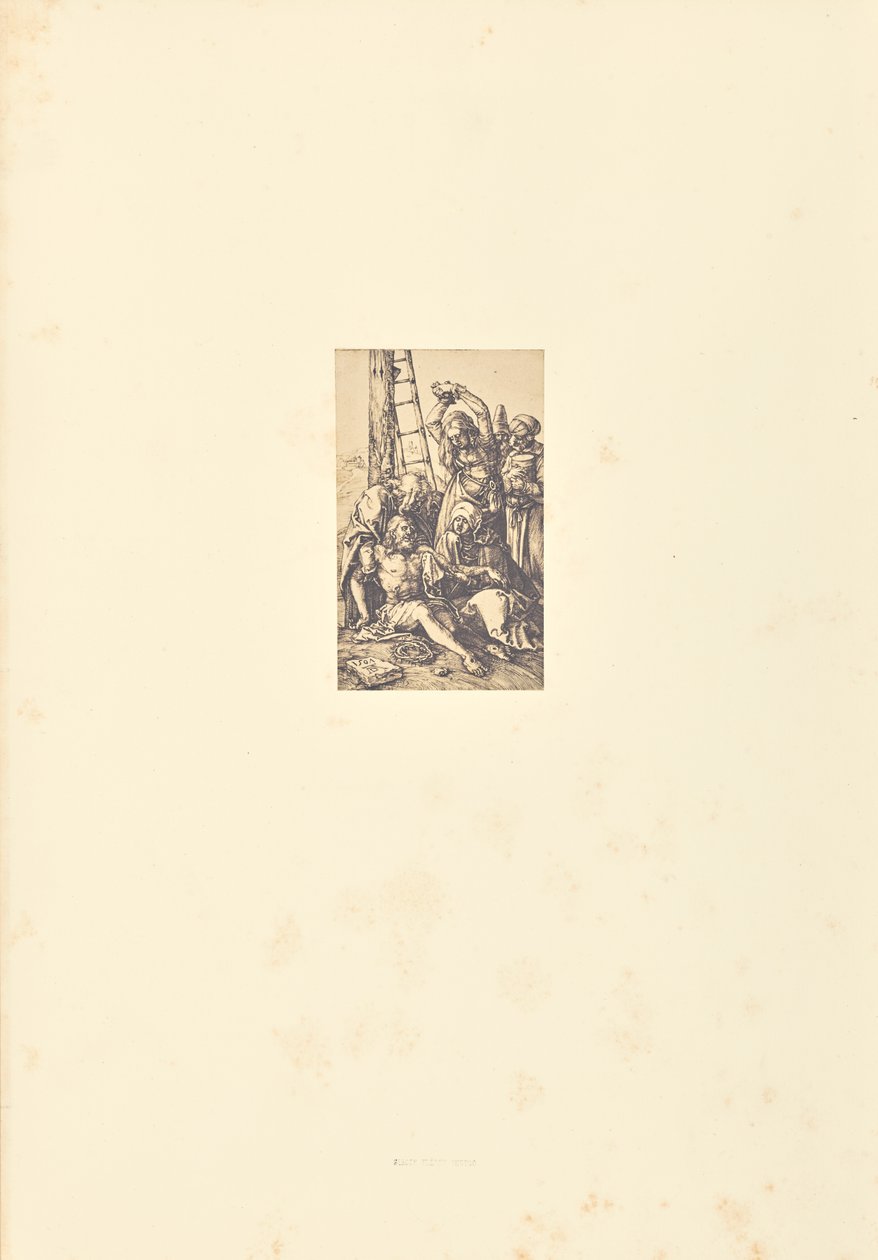 by Bisson Frères