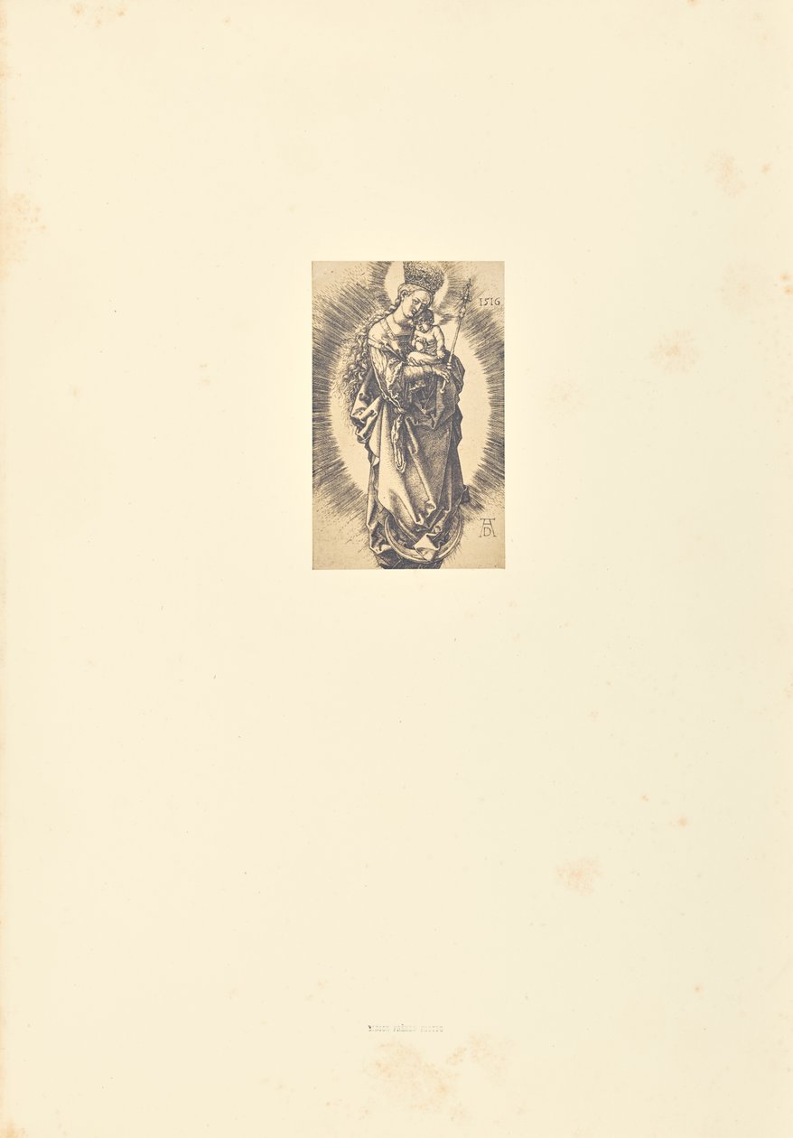  by Bisson Frères