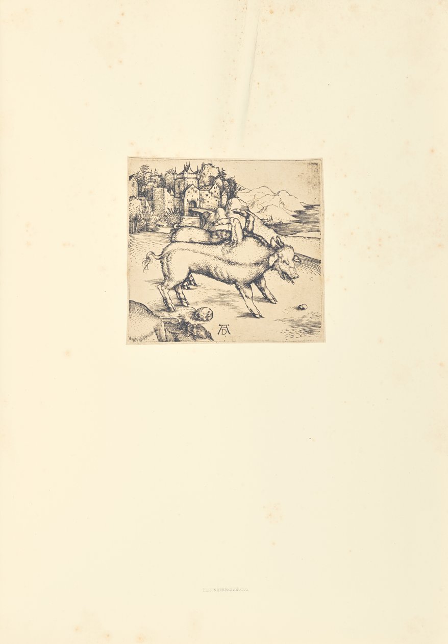  by Bisson Frères