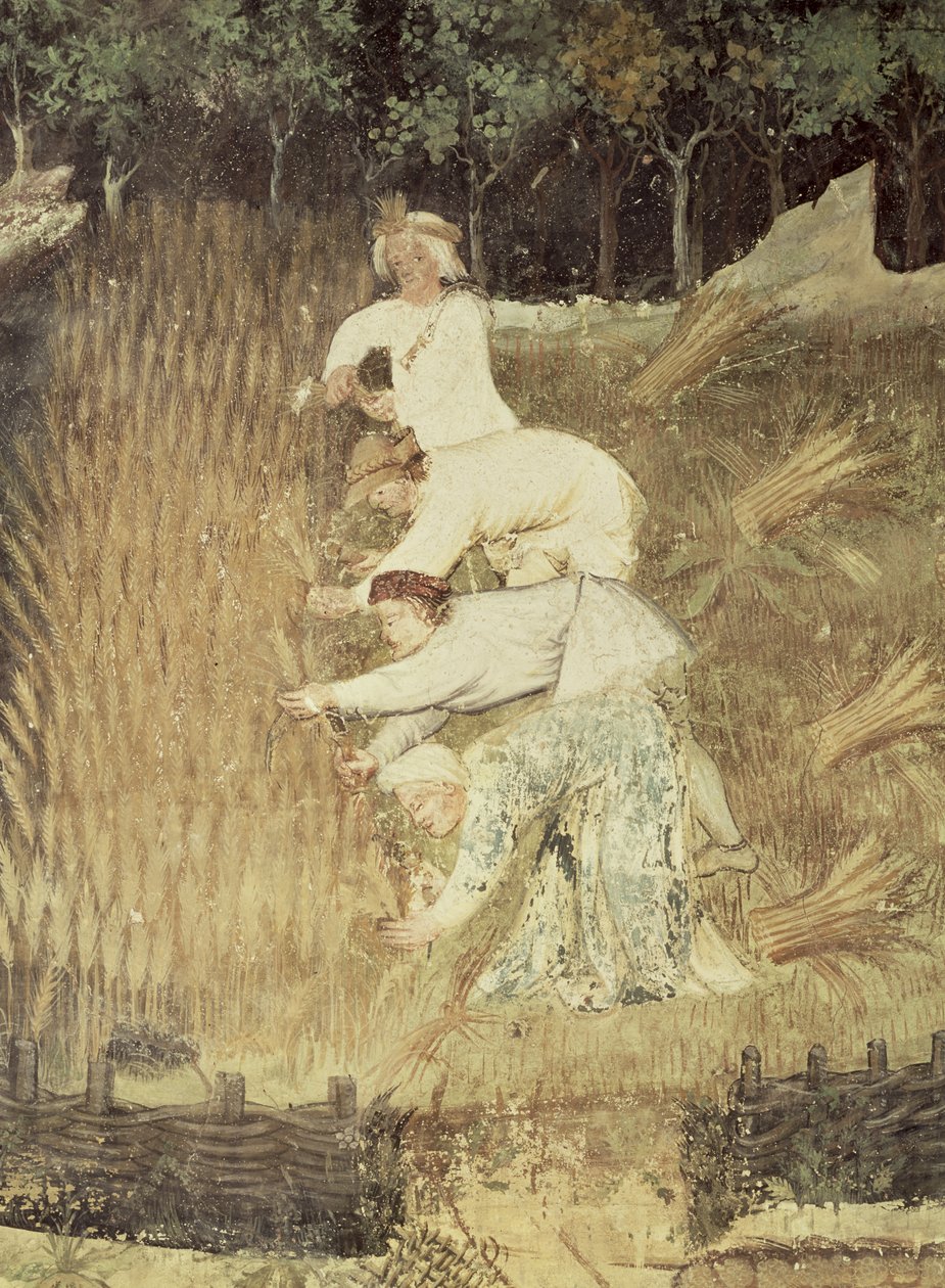 Ağustos Ayı, hasat detayı, c.1400 by Bohemian School