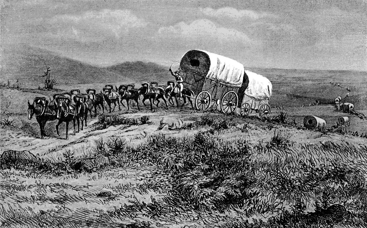 Vahşi Batı - batıya giden katır treni by Bohuslav Kroupa