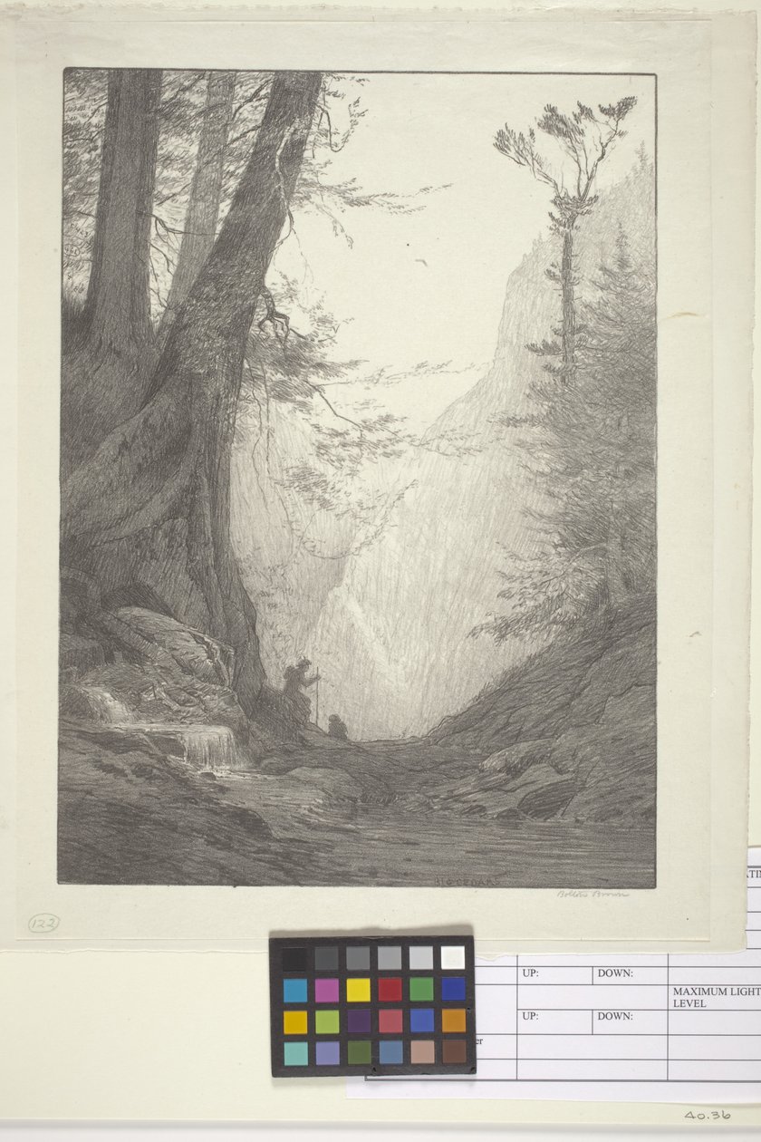 Büyük Sedirler (kağıt üzerine mürekkep, litografi) by Bolton Coit Brown
