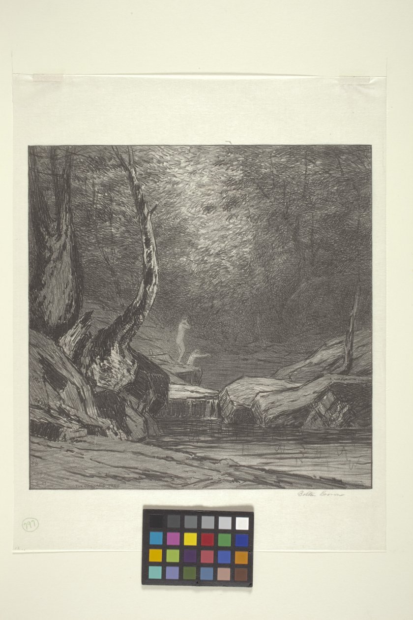 Eğri Ağaç (kağıt üzerine mürekkep) by Bolton Coit Brown