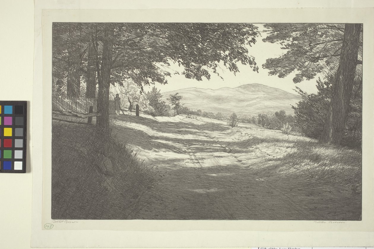 Kuzey Görünümü (kağıt üzerine mürekkep) by Bolton Coit Brown
