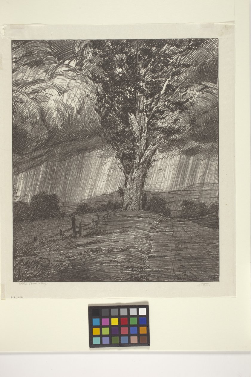 Fırtına (kağıt üzerine mürekkep) by Bolton Coit Brown