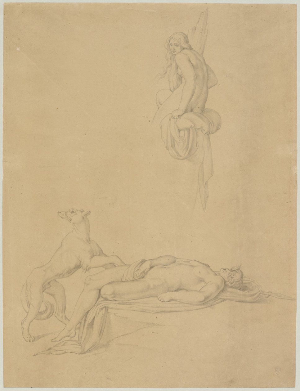 Ovid'in "Nergis ve Yankı" üzerine vaka çalışmaları by Bonaventura Genelli