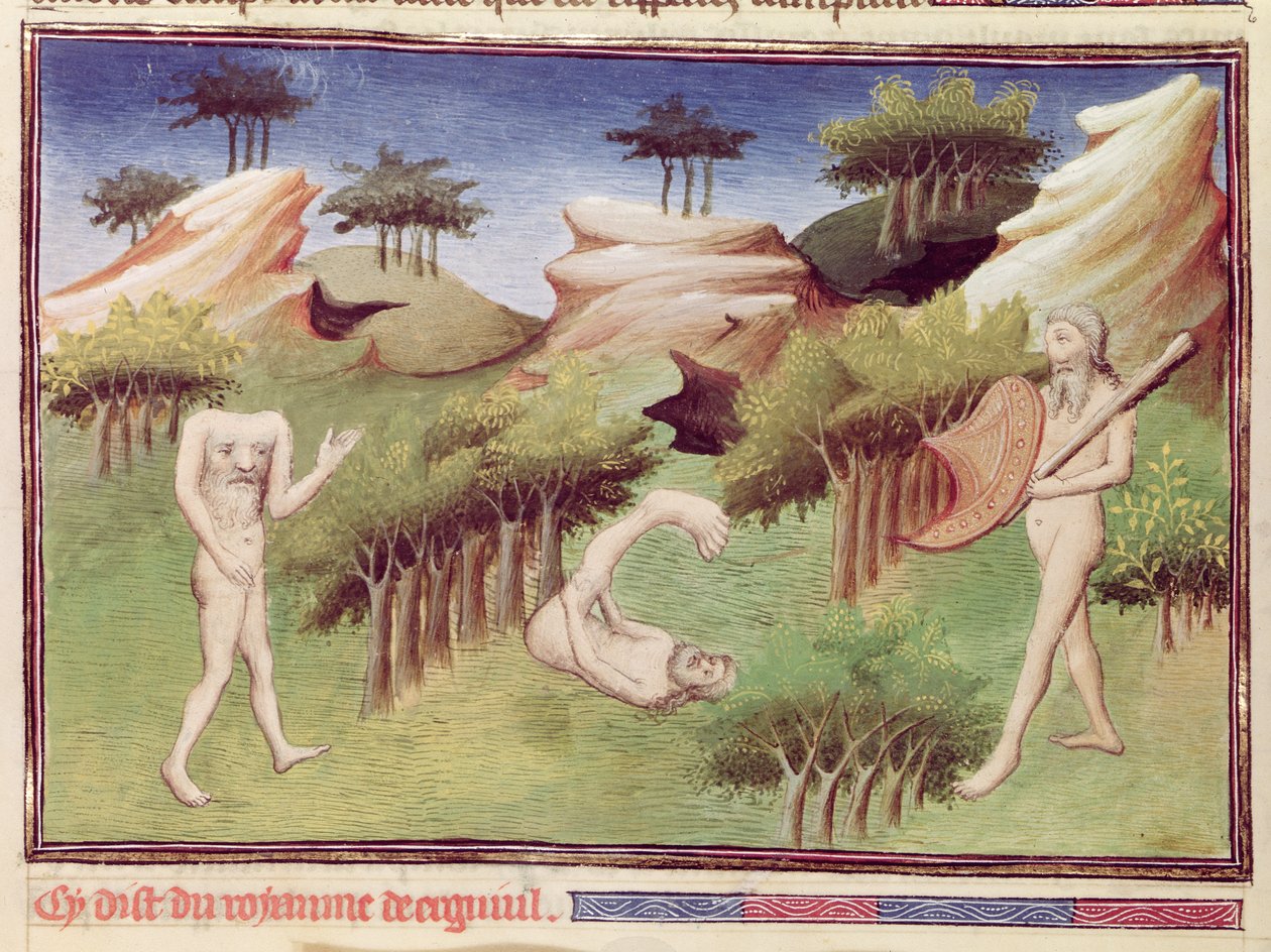 Ms 2810 f.29v, Merkitlerin ülkesinden canavarlar, 'Dünyanın Harikaları Kitabı'ndan, c.1410-12 (parşömen üzerinde tempera) by Boucicaut Master