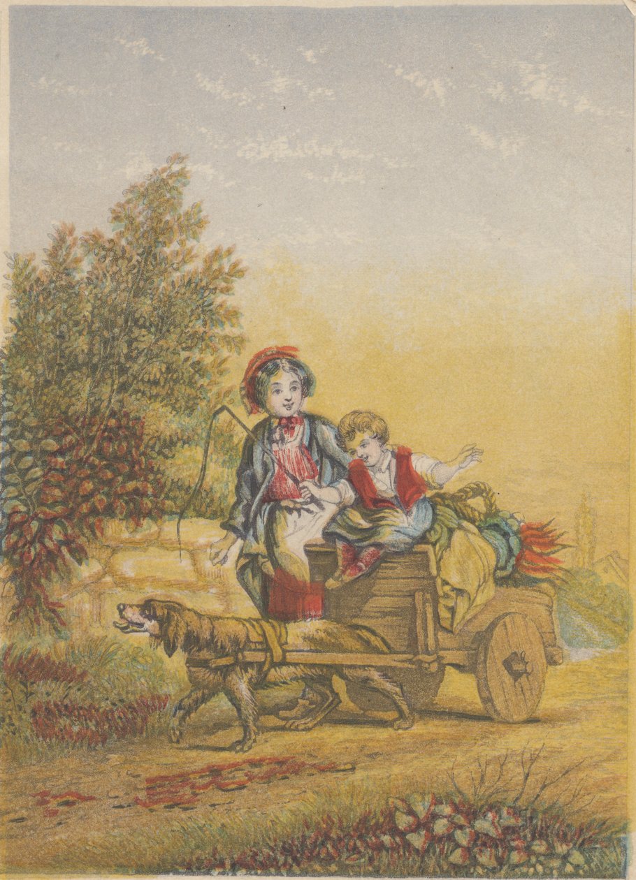 Dört Konu by Bradshaw and Blacklock