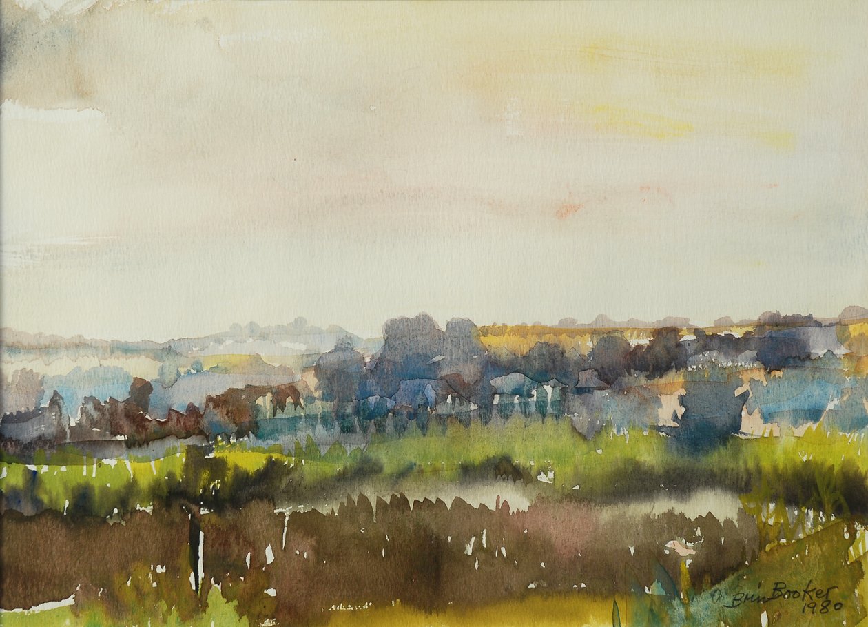 Çayırdan geçen nehir, 1980 (kağıt üzerinde wc) by Brenda Brin Booker