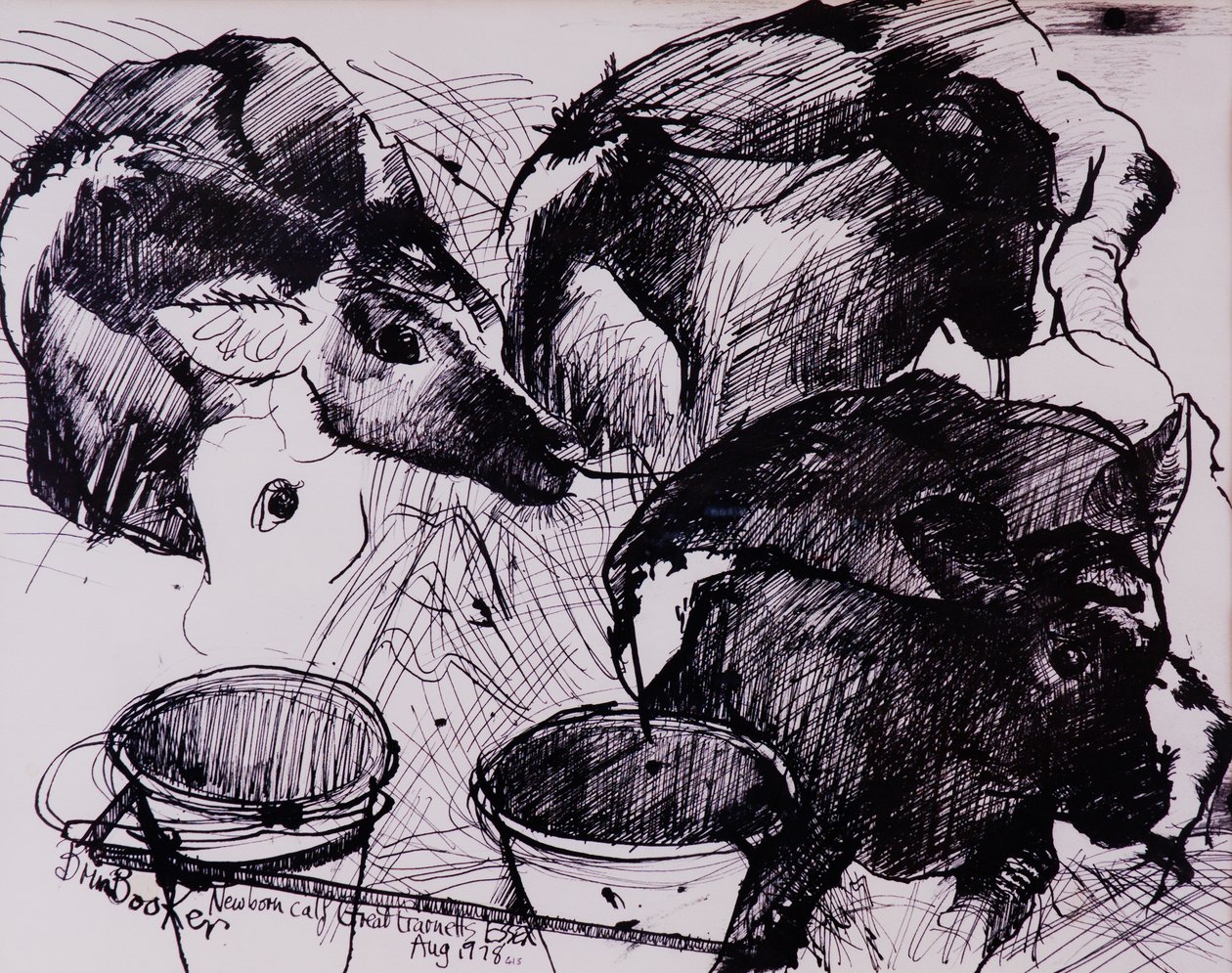 Buzağılar, nemli, yeni doğan, 1978 by Brenda Brin Booker