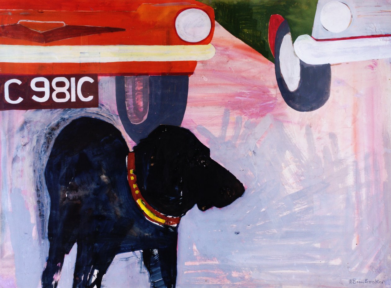 İkinci El Araba Lotunda Köpek, turuncu arabalı Rex by Brenda Brin Booker