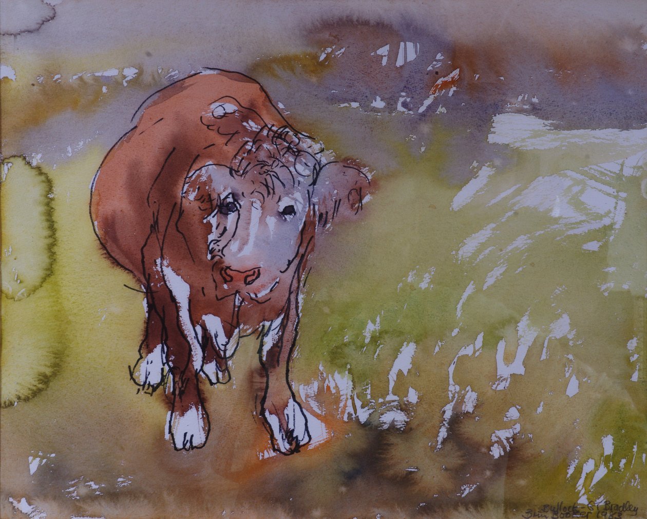 Bullock, 1983 (kağıt üzerinde wc ile kalem ve mürekkep) by Brenda Brin Booker