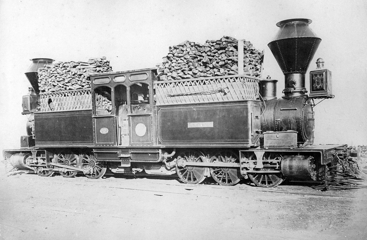Çift Fairlie Motoru, c.1870s by British Photographer