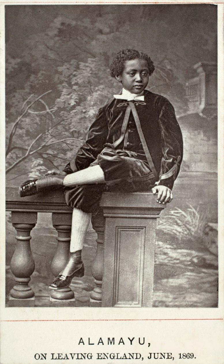 Alamayu, England, 1869 (albumen print) by British Photographer