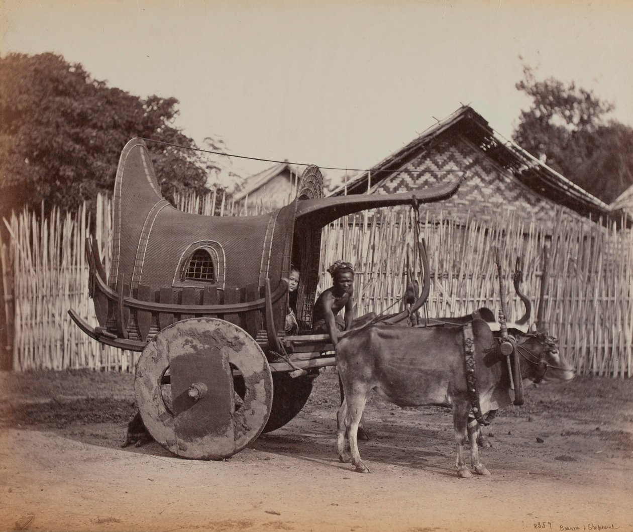 Ülke Arabası, Burma (1886-88) by British Photographer