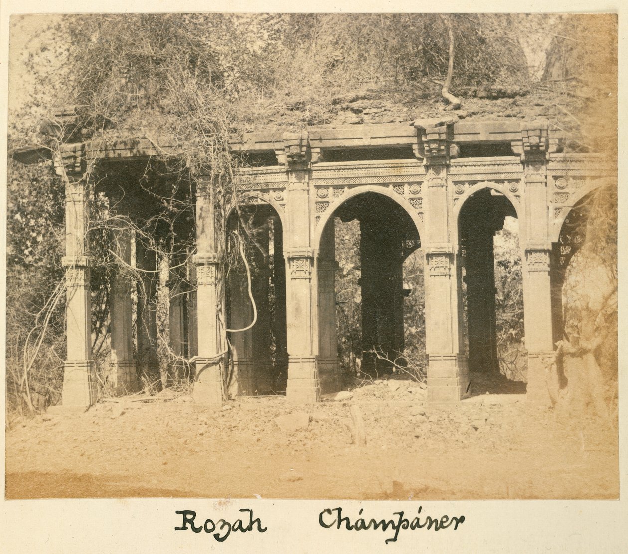 Rozah, Champaner, S.1875 (s/b fotoğraf) by British Photographer