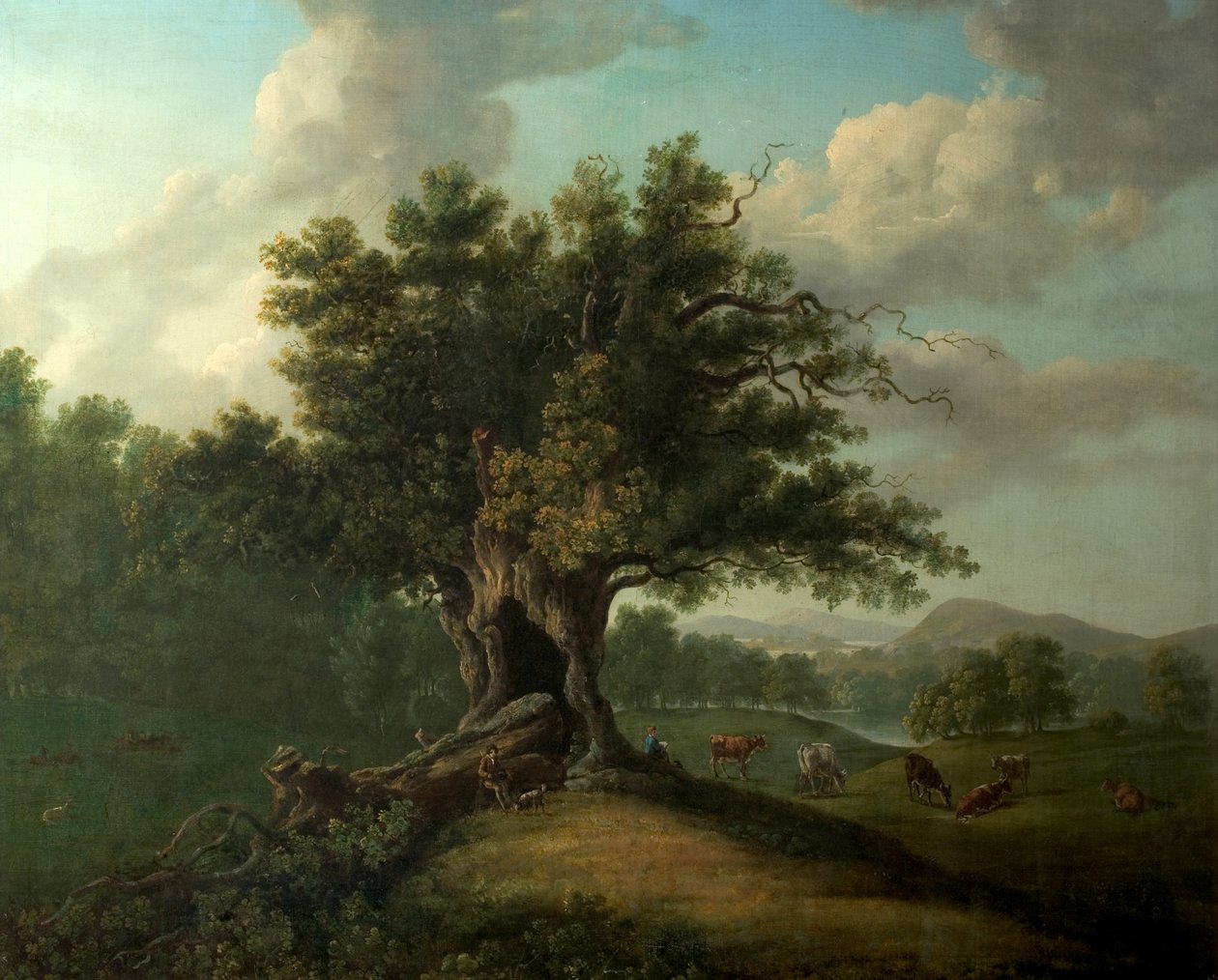 Herefordshire, Moccas Park
