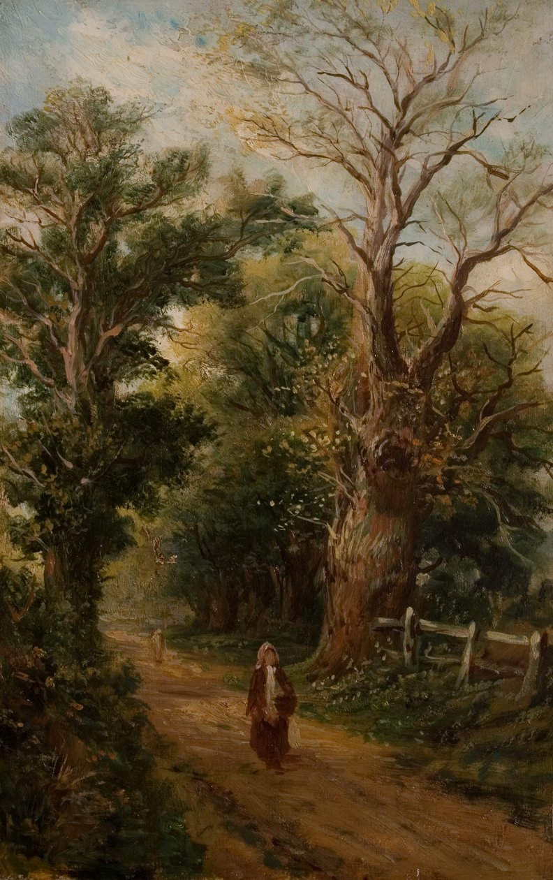Country Lane, belki Church Lane, Allesley, 1880 dolayları (tuval üzerine yağlı boya) by British School