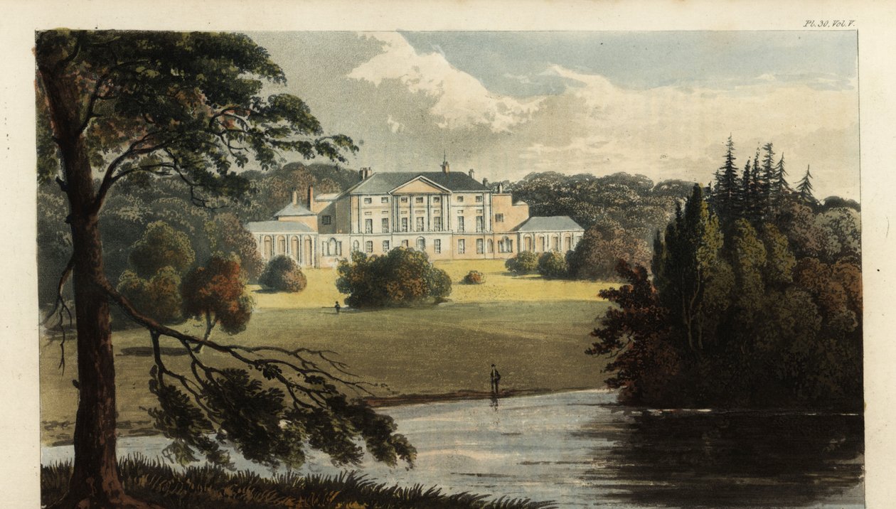 Enmore Kalesi, Somerset, 3. Egmont Kontu