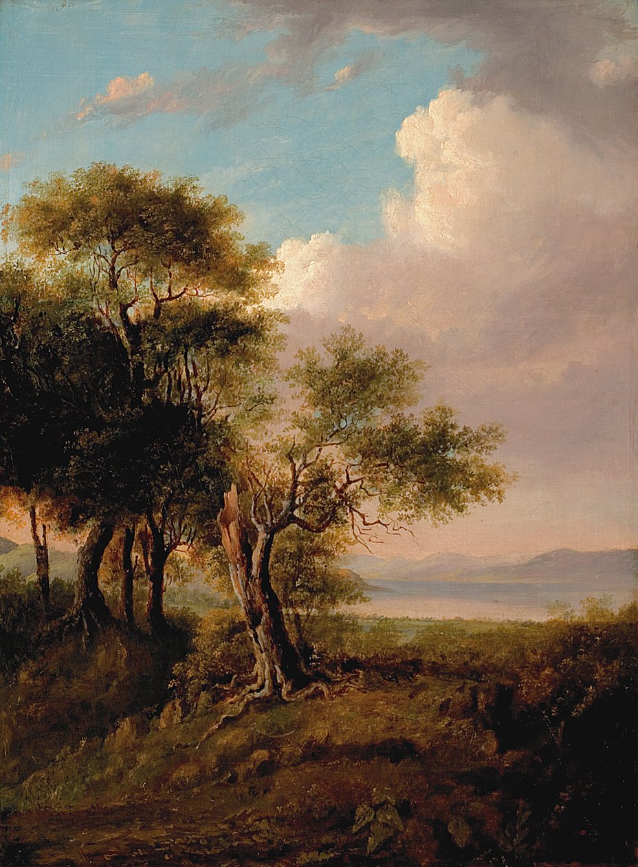 Manzara, Önde Ağaçlar, Uzakta Göl ve Tepeler (tuval üzerine yağlı boya) by British School