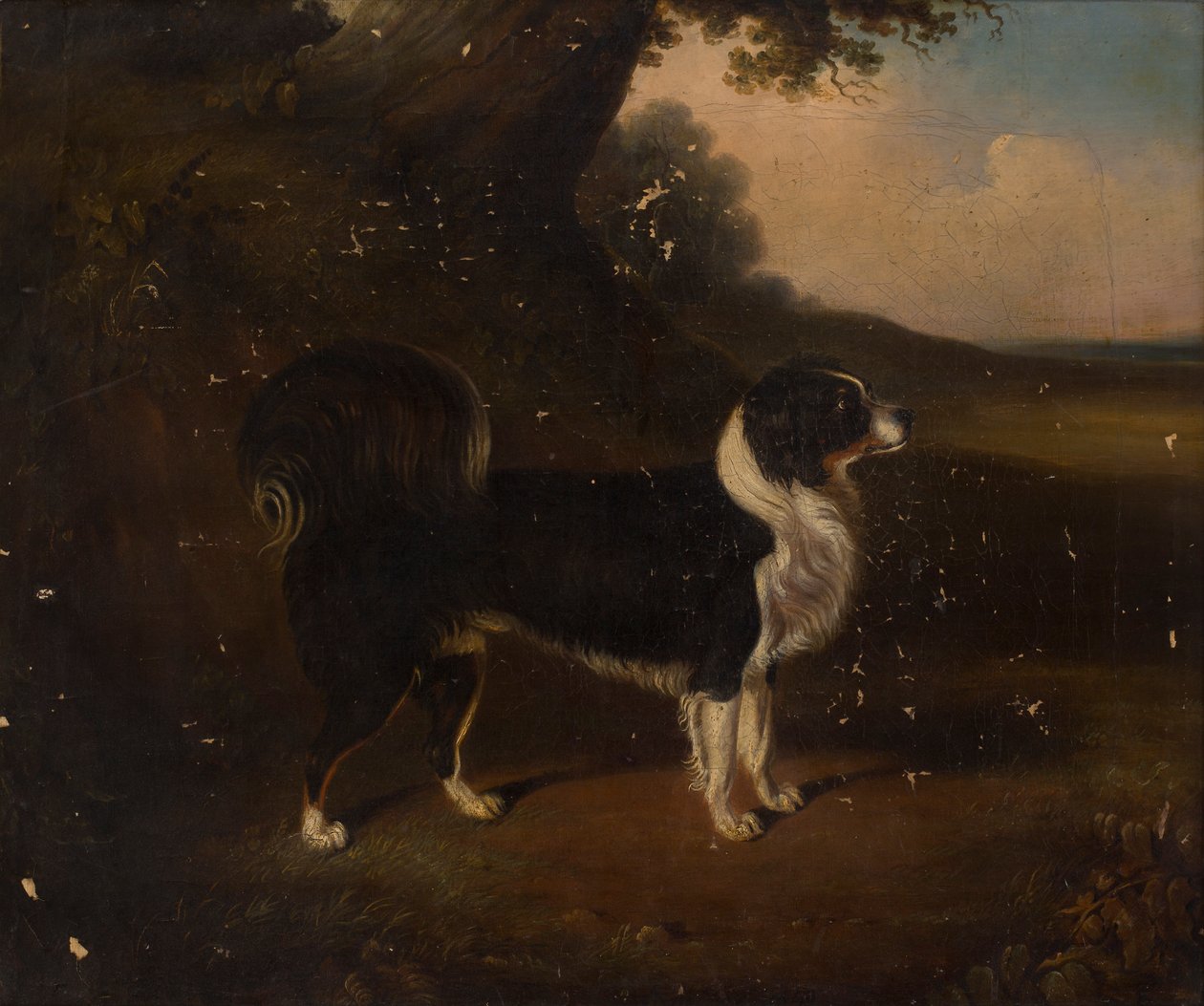 Bir Köpeğin Portresi (tuval üzerine yağlı boya) by British School