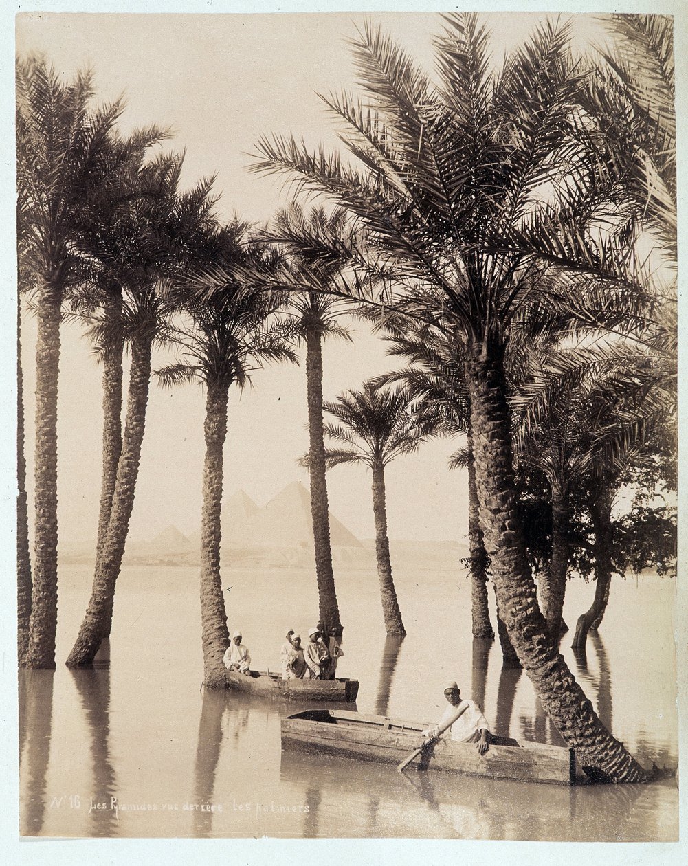 Mısır piramitlerinin dibinde bir palmiye korusu - 19. yüzyılın sonlarında Zengali kardeşlerin fotoğrafı by Brothers Zangaki
