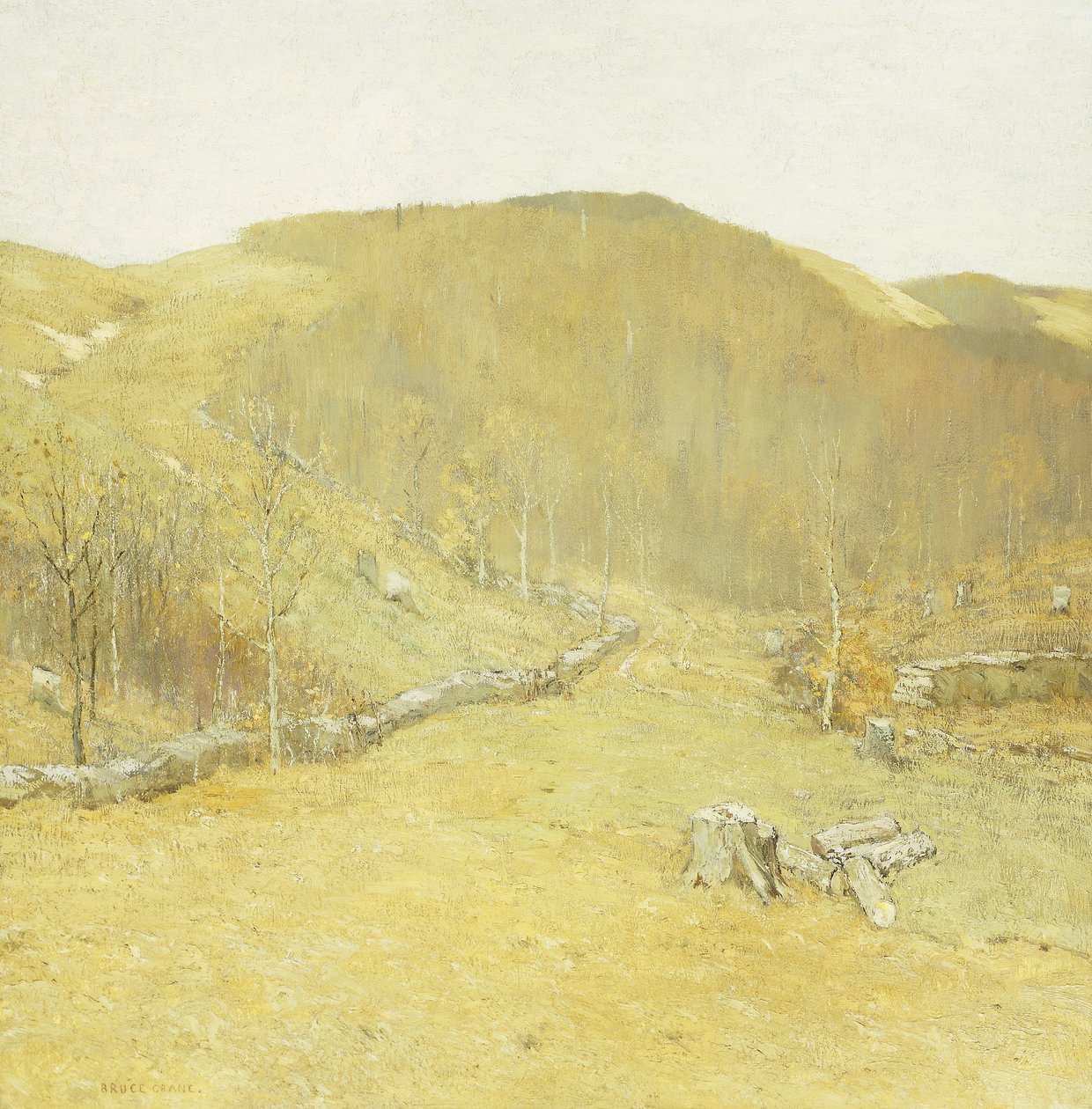 Tepeler, c.1910 (tuval üzerine yağlı boya) by Bruce Crane
