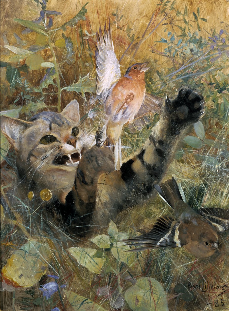 Bir Kedi ve Bir İspinoz, 1885 by Bruno Andreas Liljefors