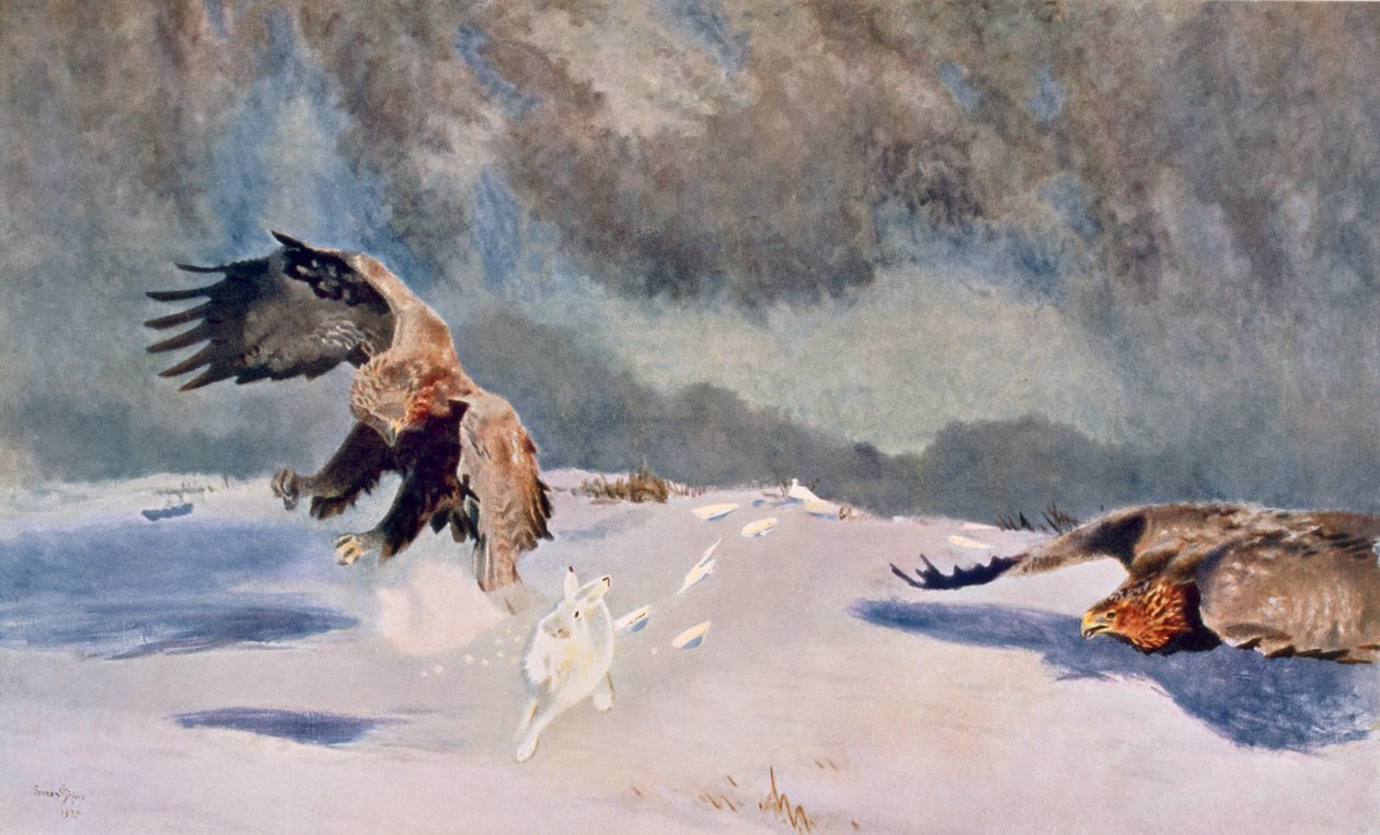 Kartallar ve Tavşan, 1922 by Bruno Andreas Liljefors