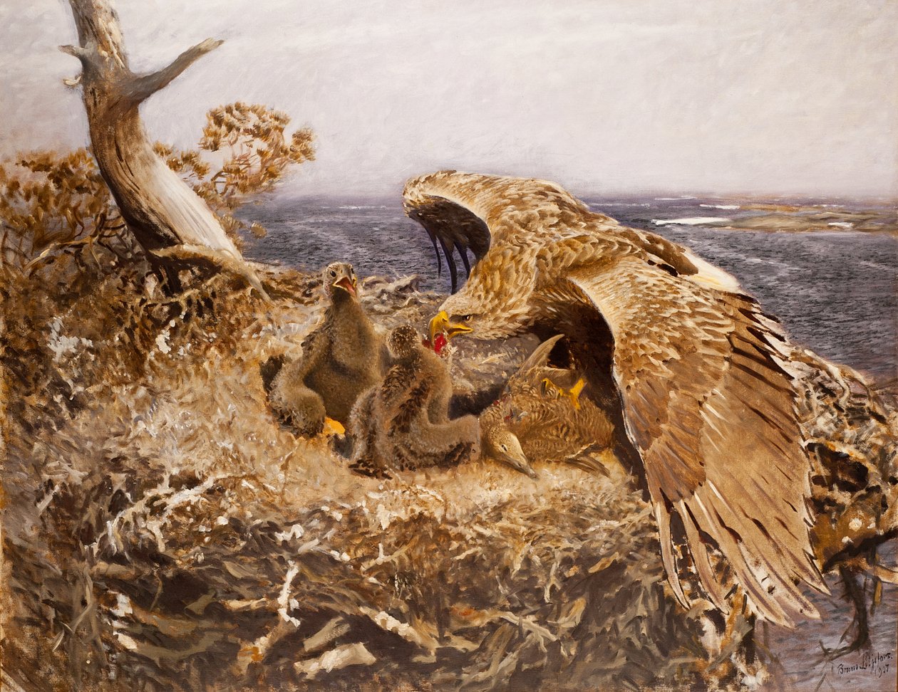 Deniz Kartalı Yuvası, 1907 by Bruno Andreas Liljefors