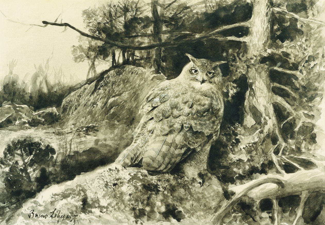Berguv (Kartal Baykuş) Bubo Bubo by Bruno Andreas Liljefors