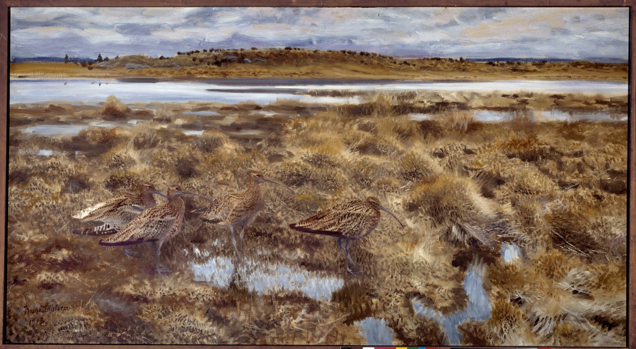 Bataklıklarda Curlews Kuşları. Bruno Andreas Liljefors'un (1860-1939) 1913 Güneş tarafından yapılan tablosu. 1,19x2,2 m by Bruno Andreas Liljefors