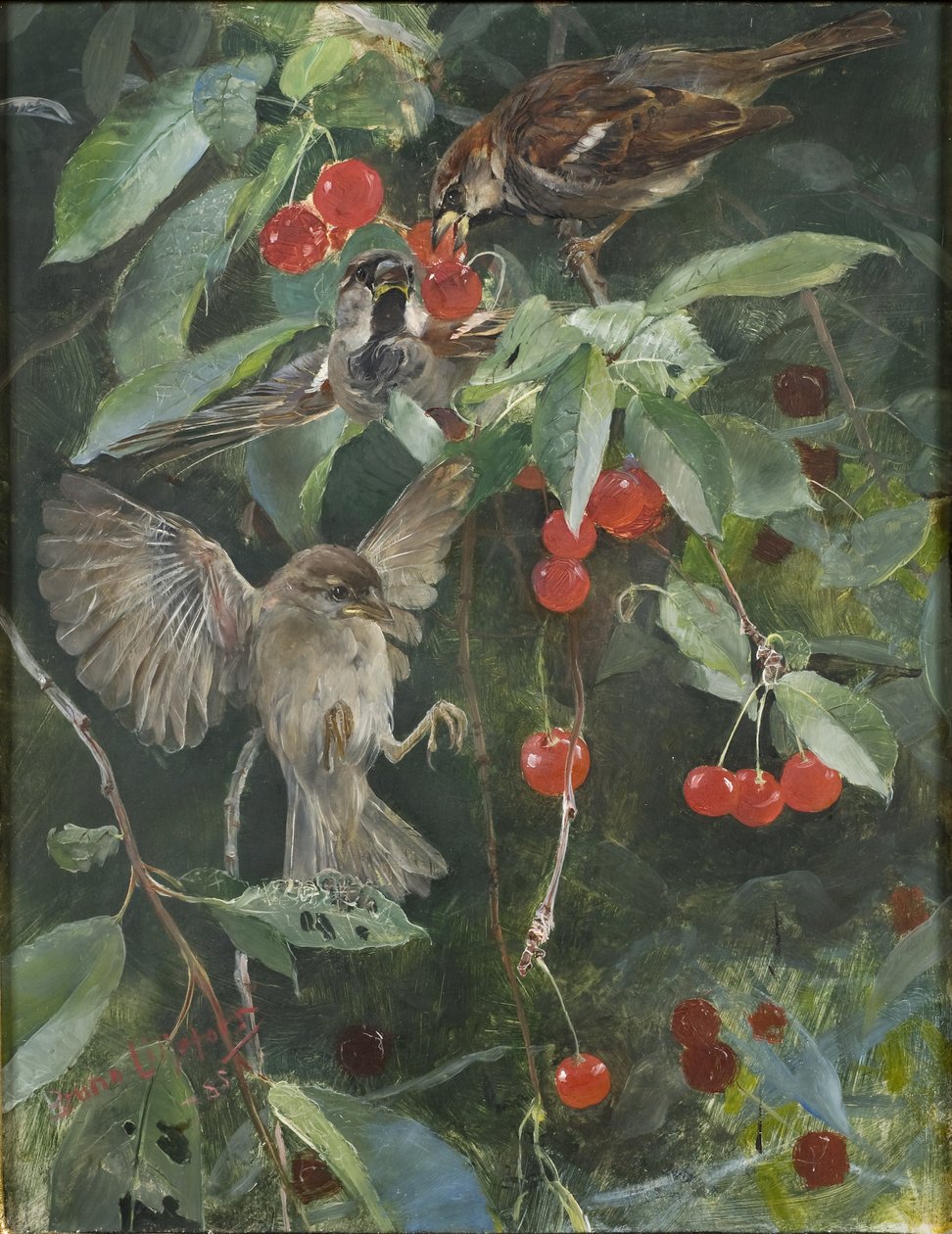 Kiraz Ağacındaki Serçeler, 1885 by Bruno Andreas Liljefors