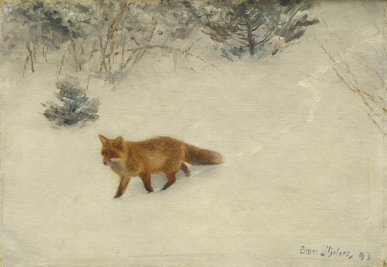 Tilki, 1893 by Bruno Andreas Liljefors