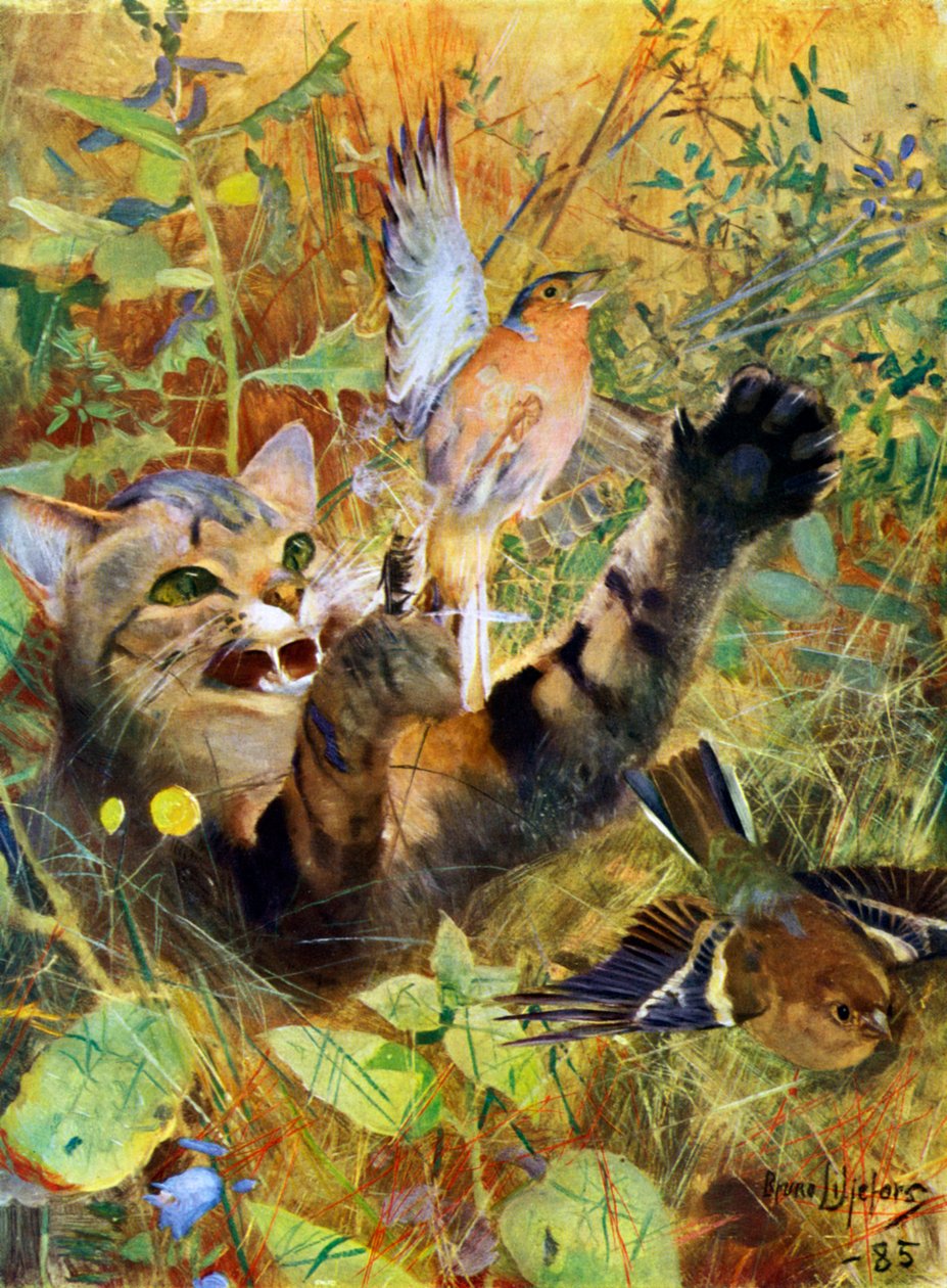 Bir Kedi ve Bir İspinoz, 1885 1945. by Bruno Andreas Liljefors