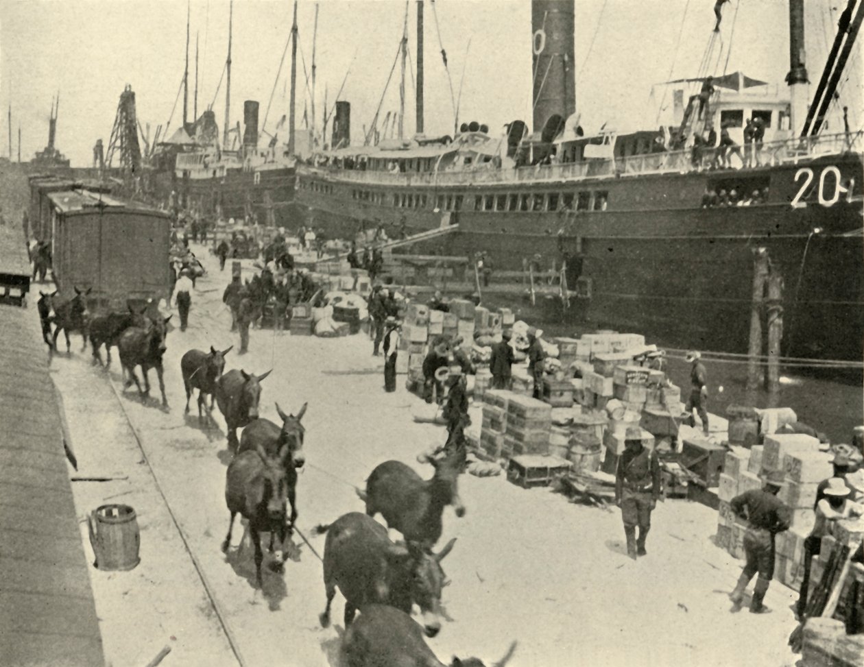 Port Tampa'da birlikler, Florida, ABD, İspanyol-Amerikan Savaşı, 10 Haziran 1898, 1899. by Burr McIntosh