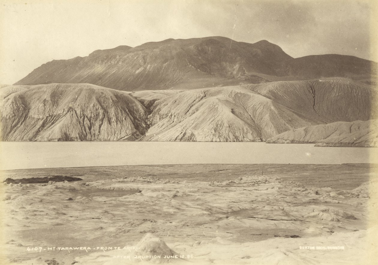 Te Ariki