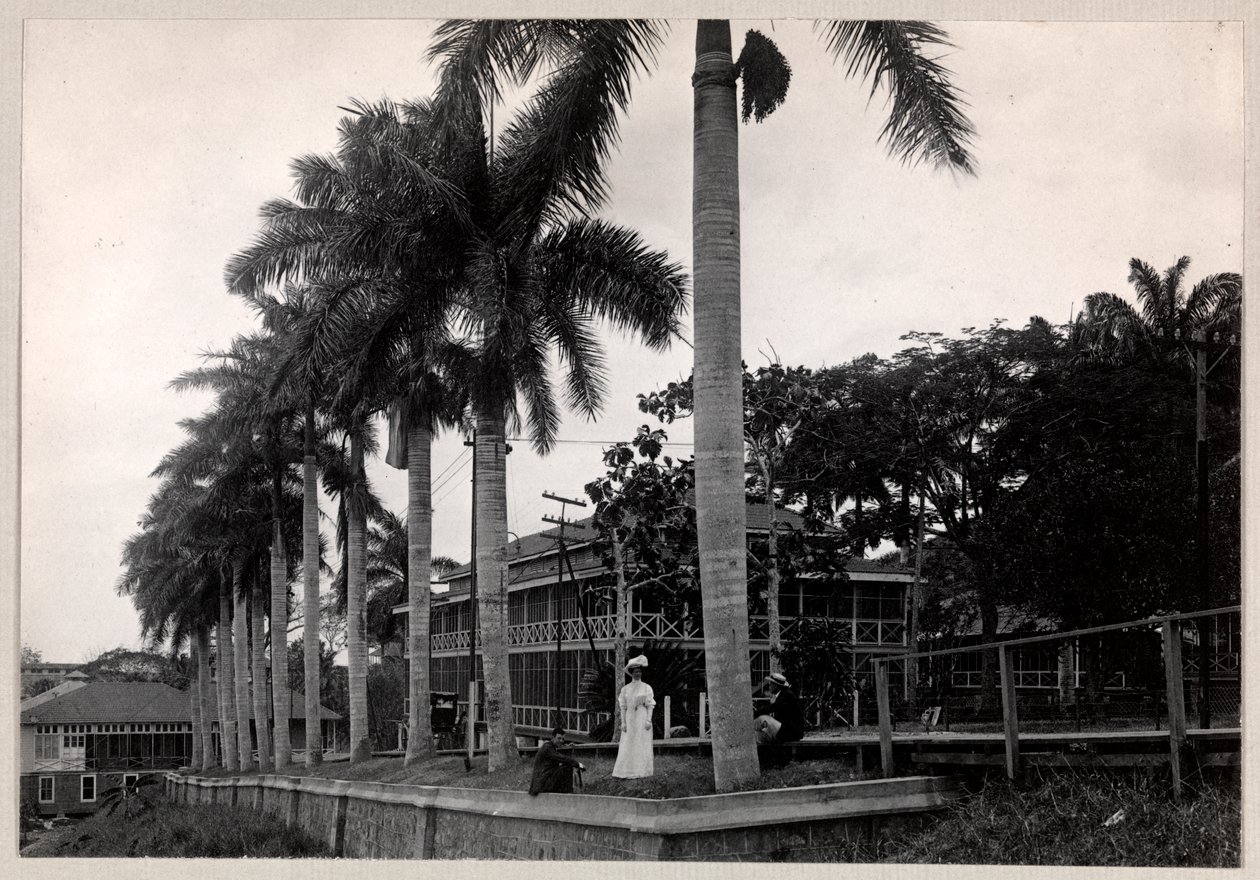 ಪನಾಮ ಕಾಲುವೆ, 1912 ಅಥವಾ 1913 (ಸಿಲ್ವರ್ ಜೆಲಾಟಿನ್ ಪ್ರಿಂಟ್) ಟರ್ಕ್ ನಿರ್ಮಾಣದ ಸಮಯದಲ್ಲಿ ತಾಳೆ ಮರದ ಕೆಳಗೆ ಇಬ್ಬರು ಪುರುಷರು ಮತ್ತು ಮಹಿಳೆಯ ಗುಂಪು by Byron Company