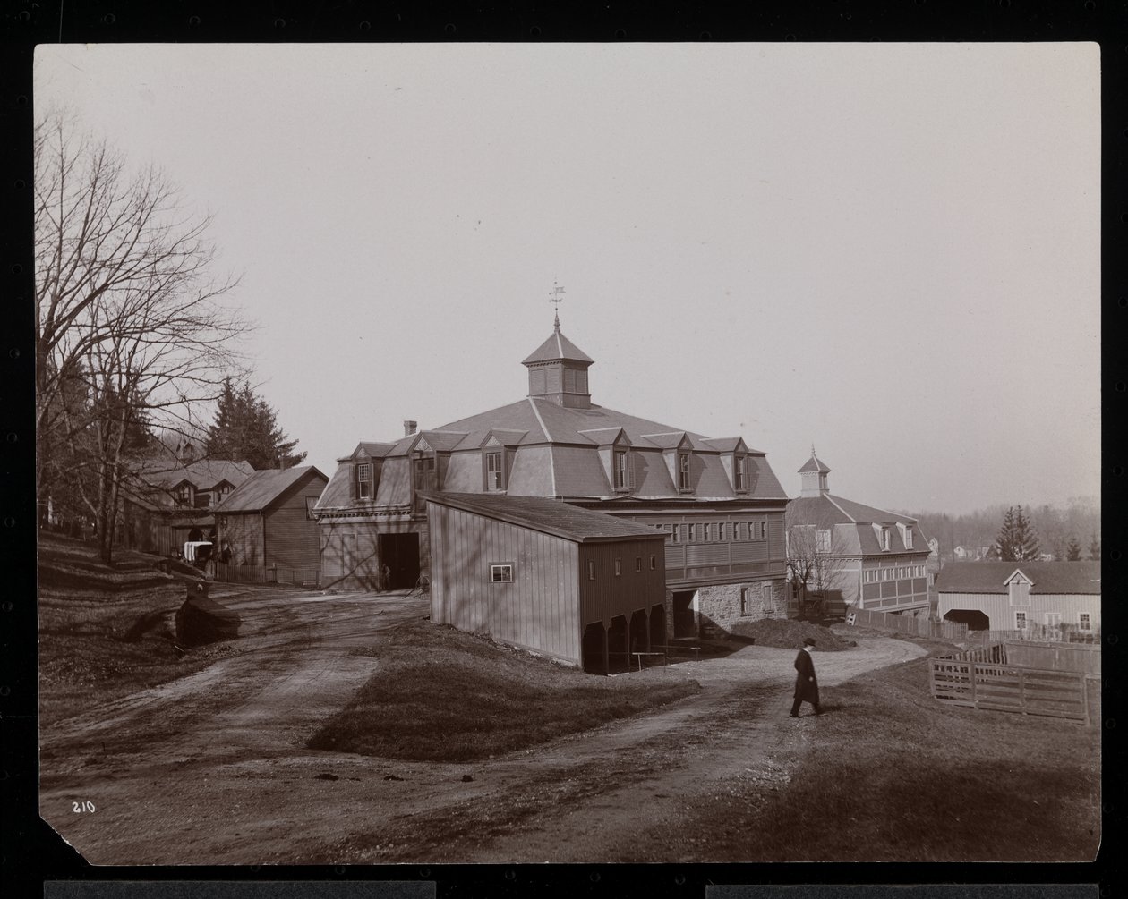 Rhinecliffe veya Rhinebeck