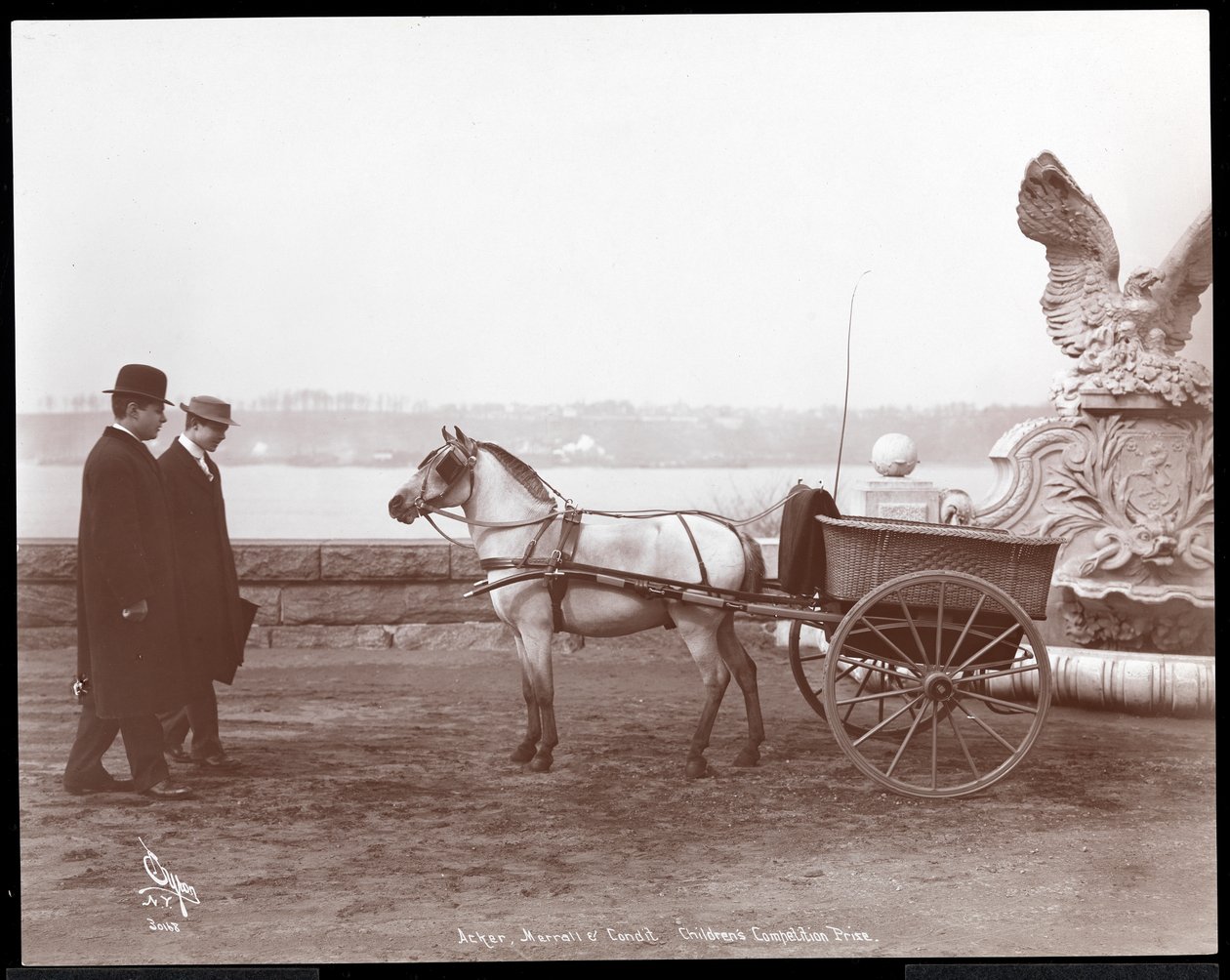 İki adam, midilli ve araba, New York, 1910 veya 1911 (gümüş jelatin baskı) by Byron Company