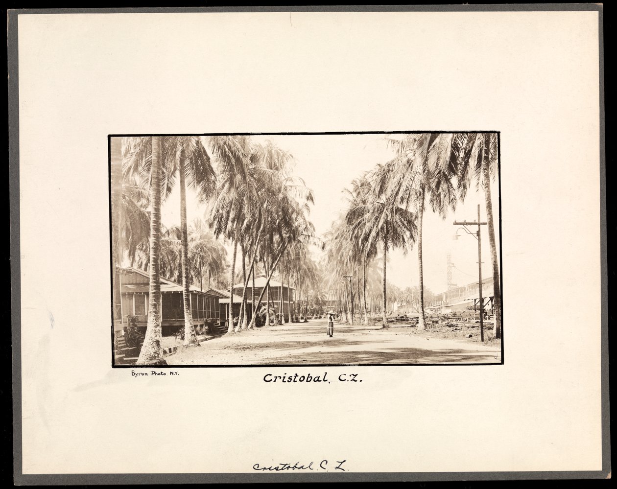 Panama, Cristobal'dan geçen palmiye ağaçlarıyla kaplı toprak yolun görünümü, kanal inşaatı sırasında, 1912 veya 1913 (gümüş jelatin baskı) by Byron Company