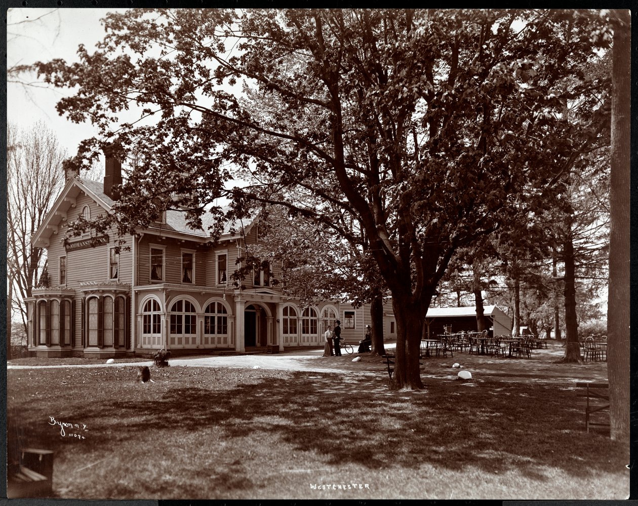 Woodmansten Inn ağaçlarının arasından görünüm, Westchester, New York, 1901 (gümüş jelatin baskı) by Byron Company