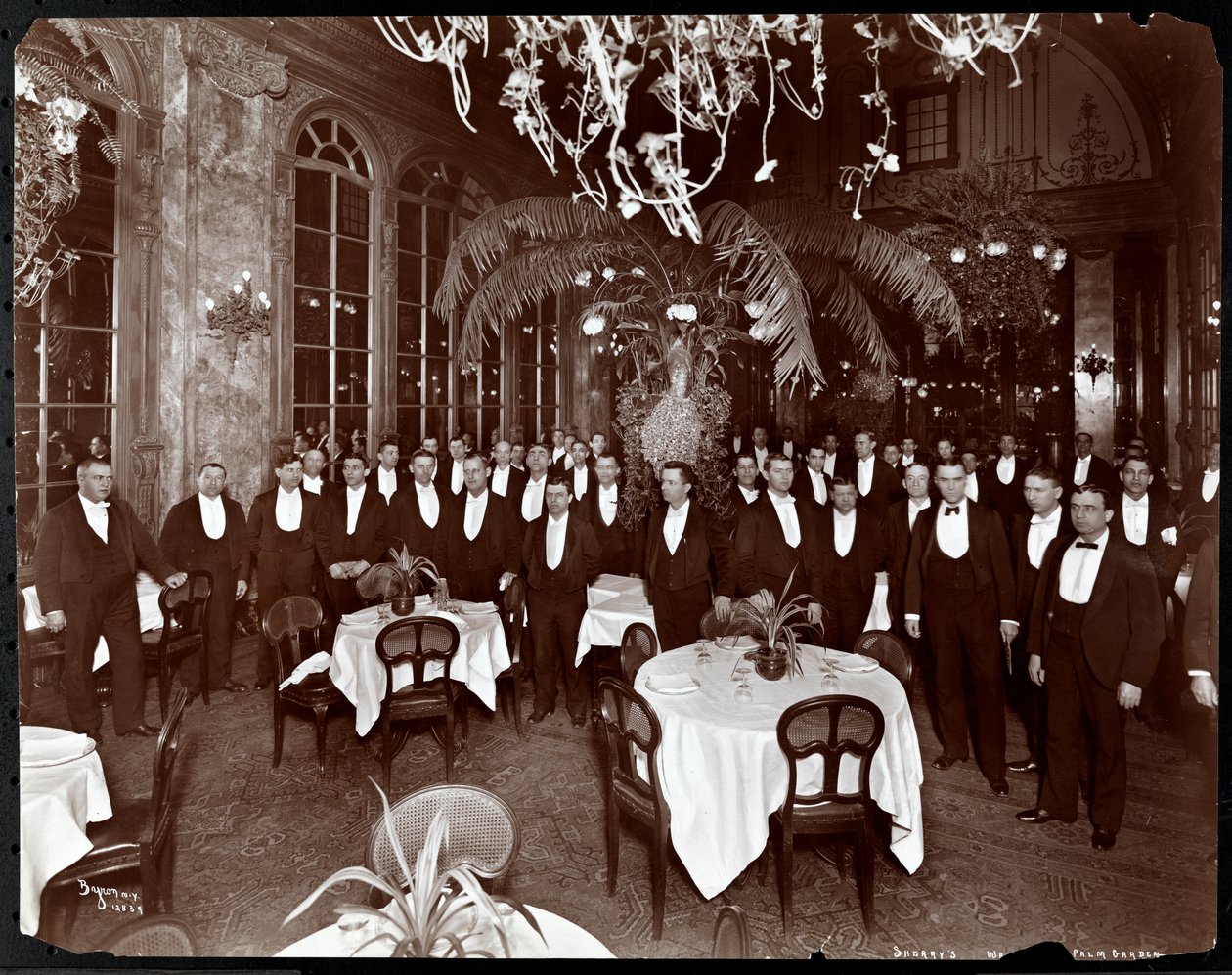 Sherry'nin restoranındaki Palm Court'taki garsonlar, New York, 1902 (gümüş jelatin baskı) by Byron Company